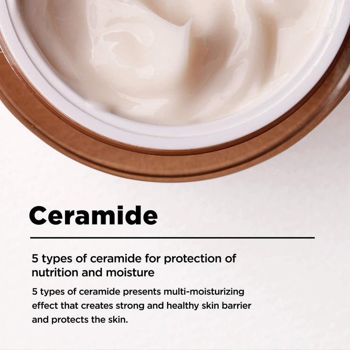 [Ma:nyo] Bifida Biome Concentrate Cream 50ml